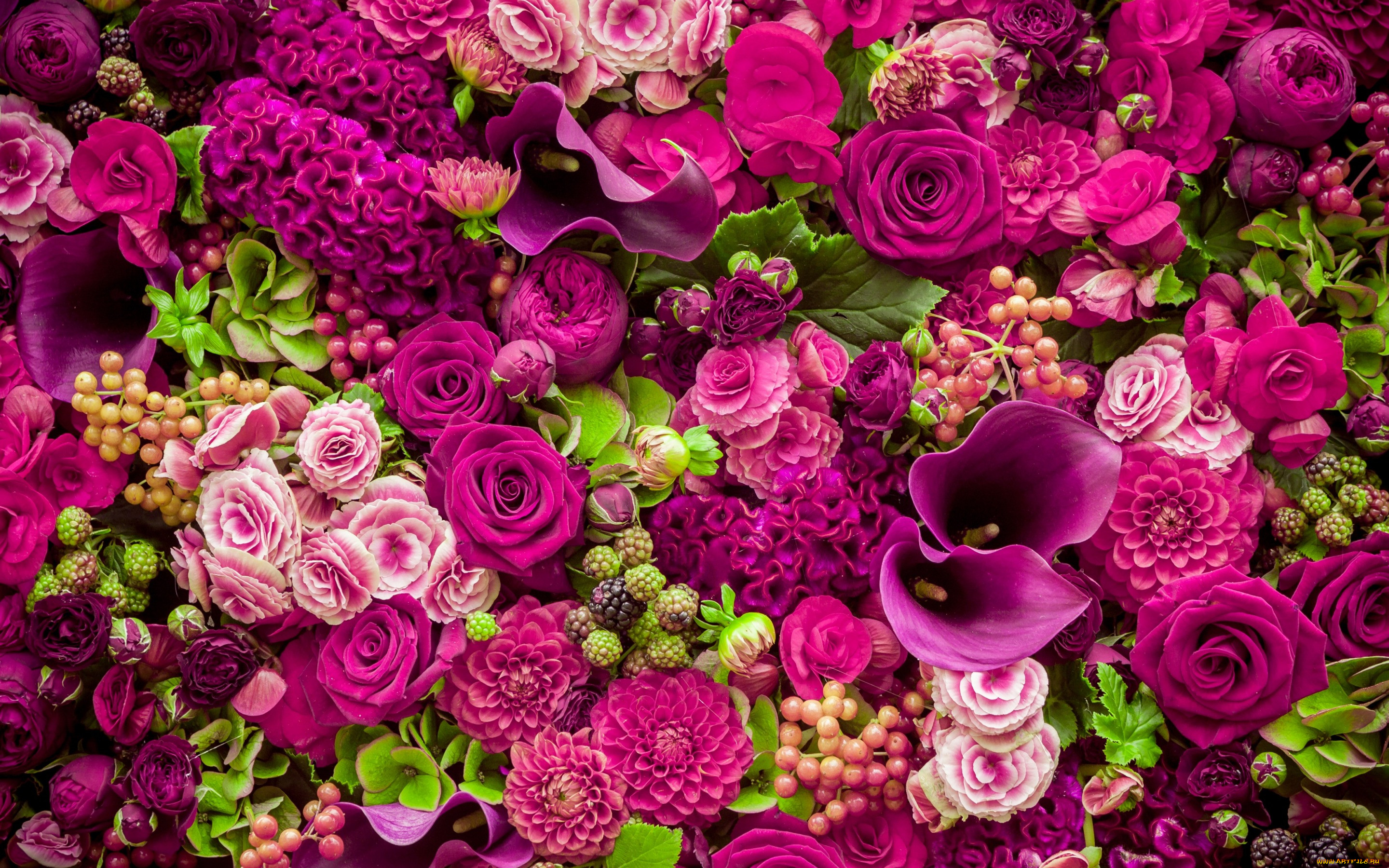 ,  , roses, purple, romantic, pink, , , , flowers, beautiful